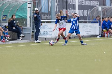Bild 118 - wBJ Hamburger SV - FC Suederelbe : Ergebnis: 9:0